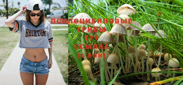 спиды Новый Уренгой