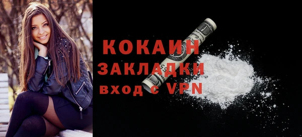 прущие грибы Калининец