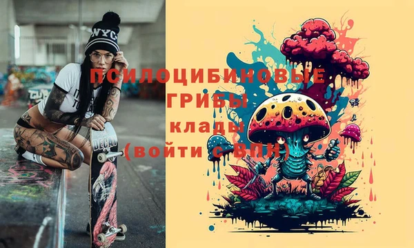 прущие грибы Калининец