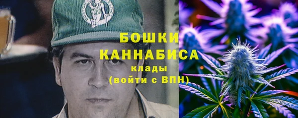 прущие грибы Калининец