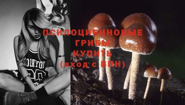 прущие грибы Калининец