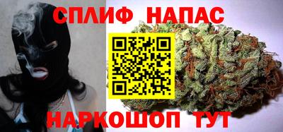 сатива Апшеронск