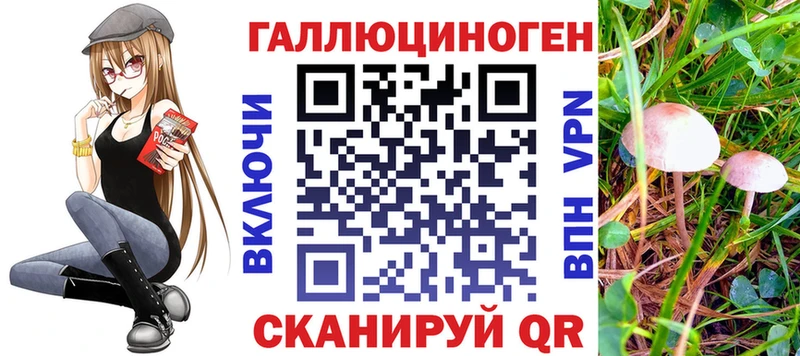 Псилоцибиновые грибы Psilocybine cubensis Владимир