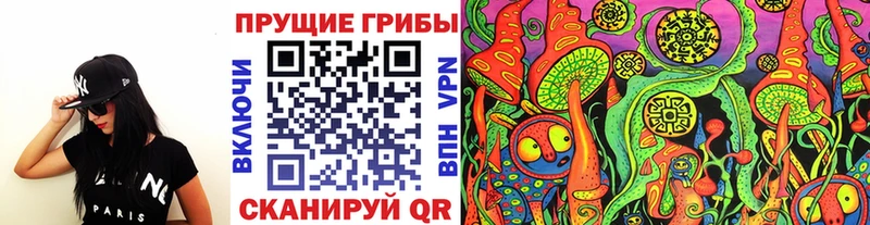 Псилоцибиновые грибы ЛСД  omg ONION  Владимир  даркнет телеграм  даркнет сайт 