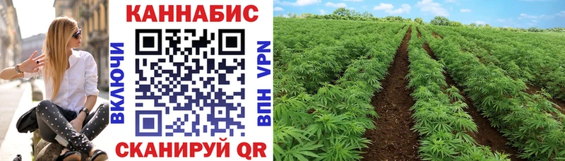 OMG сайт  Владимир  shop клад  Шишки марихуана MAZAR 