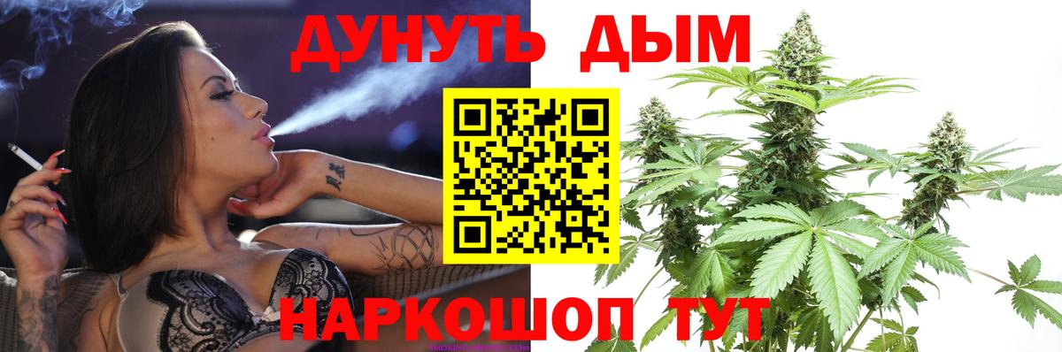 Бошки Шишки конопля Владимир